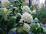 20080318tr044.jpg