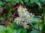 20080318tr050.jpg