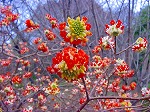 20080321k102.jpg