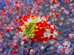 20080321k103.jpg