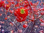 20080321k104.jpg