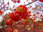 20080321k111.jpg