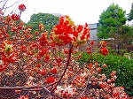 20080321k114.jpg