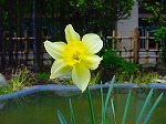 20080321k005.jpg