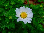 20080321k023.jpg