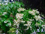 20080321k028.jpg