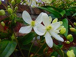 20080321k049.jpg