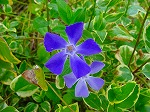 20080321k061.jpg