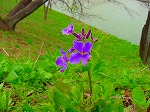 20080321k069.jpg