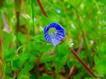 20080321k071.jpg