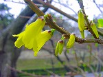 20080321k080.jpg