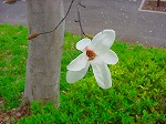 20080321k090.jpg