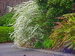 20080321k096.jpg