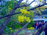 20080321k116.jpg