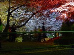 20080404cdr003.jpg
