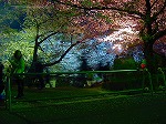 20080404cdr004.jpg