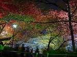 20080404cdr005.jpg