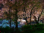 20080404cdr007.jpg