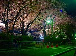 20080404cdr008.jpg