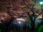 20080404cdr010.jpg
