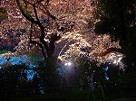 20080404cdr011.jpg