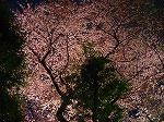 20080404cdr012.jpg