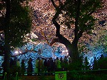 20080404cdr013.jpg