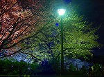20080404cdr015.jpg