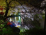 20080404cdr016.jpg