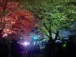 20080404cdr018.jpg