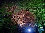20080404cdr019.jpg