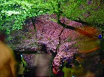 20080404cdr021.jpg