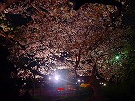 20080404cdr027.jpg