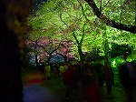 20080404cdr028.jpg