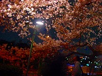 20080404cdr031.jpg