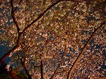 20080404cdr034.jpg