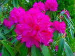 20080416BC003.jpg