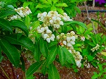 20080416BC016.jpg