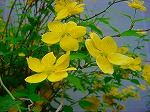 20080416BC018.jpg