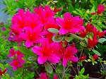 20080416BC024.jpg
