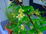 20080416BC117.jpg