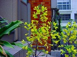 20080416BC136.jpg
