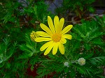 20080416BC138.jpg