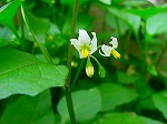 20080416BC153.jpg