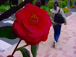 20080416BC168.jpg