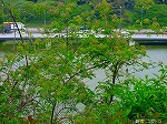 20080501hgs005.jpg