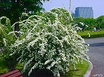 20080501hgs039.jpg