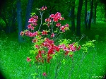 20080501hgs066.jpg