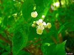 20080501hgs071.jpg