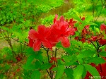 20080501hgs076.jpg